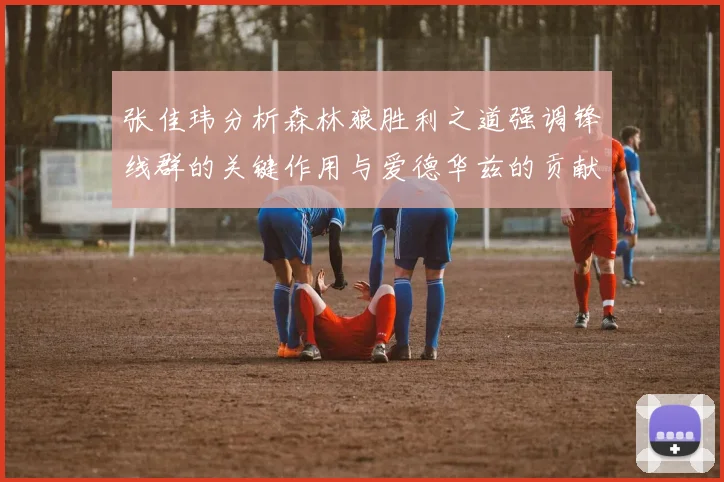 张佳玮分析森林狼胜利之道强调锋线群的关键作用与爱德华兹的贡献