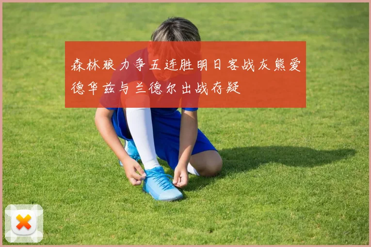 森林狼力争五连胜明日客战灰熊爱德华兹与兰德尔出战存疑